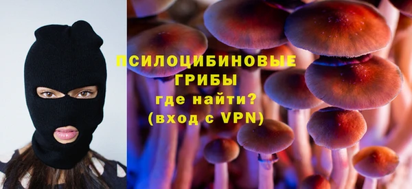 герыч Алексин