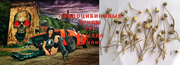 амф Алексеевка