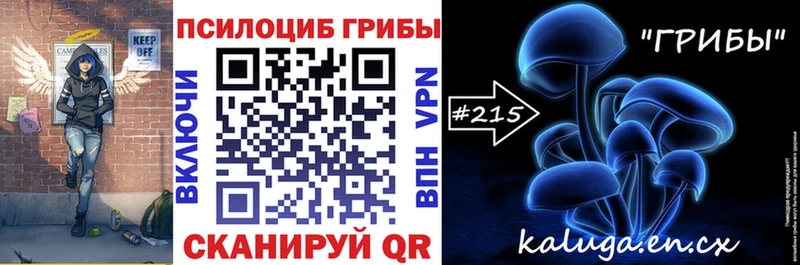 Псилоцибиновые грибы Cubensis Гусь-Хрустальный