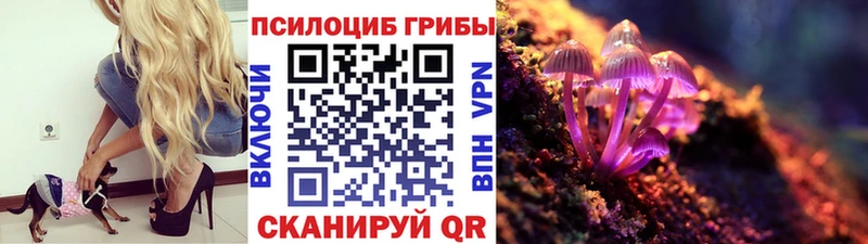 купить  сайты  Гусь-Хрустальный  Псилоцибиновые грибы Magic Shrooms 