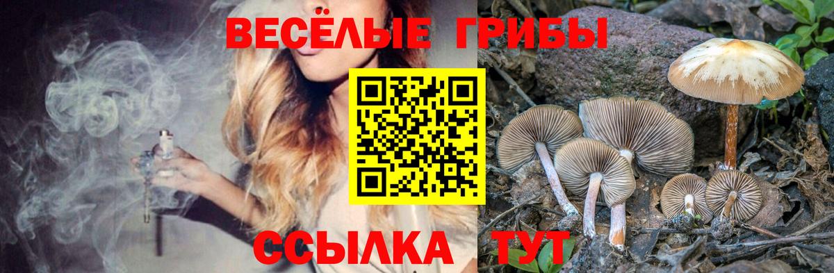 Гусь-Хрустальный  Псилоцибиновые грибы Psilocybine cubensis  Вход с VPN 